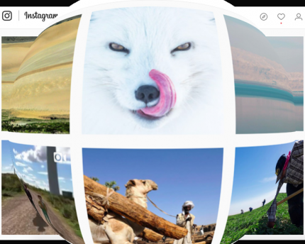 Environmentalists use Instagram in fight Environmentalists use Instagram to spread their message.
